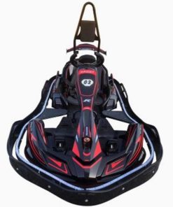 Amusement Park Electric Go Karts