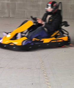 Family Electric Go Karts